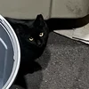タムタム