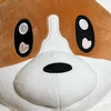 コーギーの耳