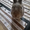 みさか
