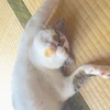 りな