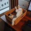 でらお