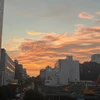 大川みなみ