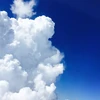 おでん
