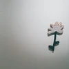 借りぐらしのひぼえってぃ