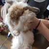 ひろ