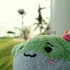 のってぃー