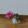 Ts