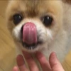 佐藤唯行