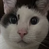 健康