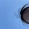 lay