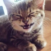 まち