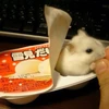 まちゃ