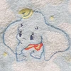 aigon