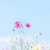 あんのひとりごと