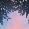 ななみ