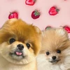 なっち