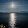 どんぐり太郎