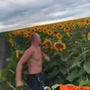 Nainggolan