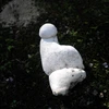 user3QN9jcN2SqW