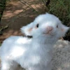 ゆずなだよ