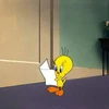 picu