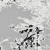 日暮