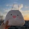 まちゅお