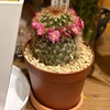 るり
