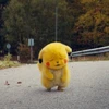 ぽふ