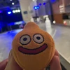 もこもこた