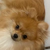ちなつ