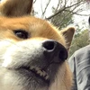 私はトム