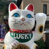 Akochan