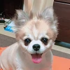Hiro