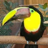 ターサン
