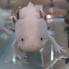 みっちい