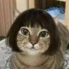 みなみ