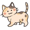 hassaku