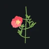 セメントの森