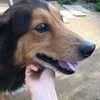 ひかり