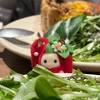 コヤ
