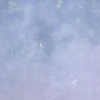 Msテリー