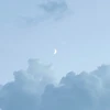 ayuuu667
