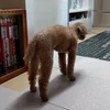 あ