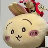 春ちゃん正麺
