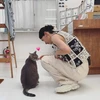 彩