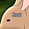 あーのの