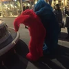 あおいはる