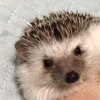 もぐ
