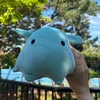 めんだこさん